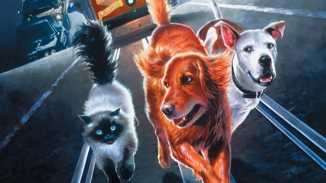 Ein tierisches Trio - Wieder unterwegs Hintergrundbild
