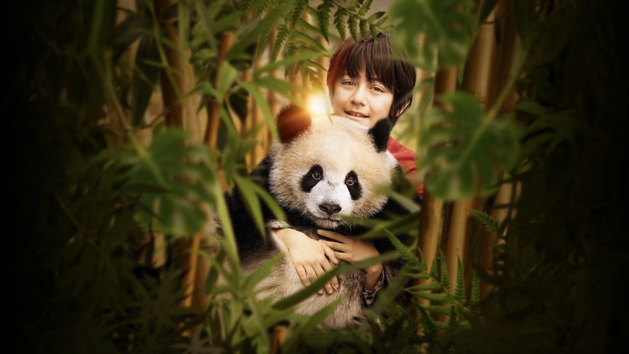 Moon, der Panda Hintergrundbild