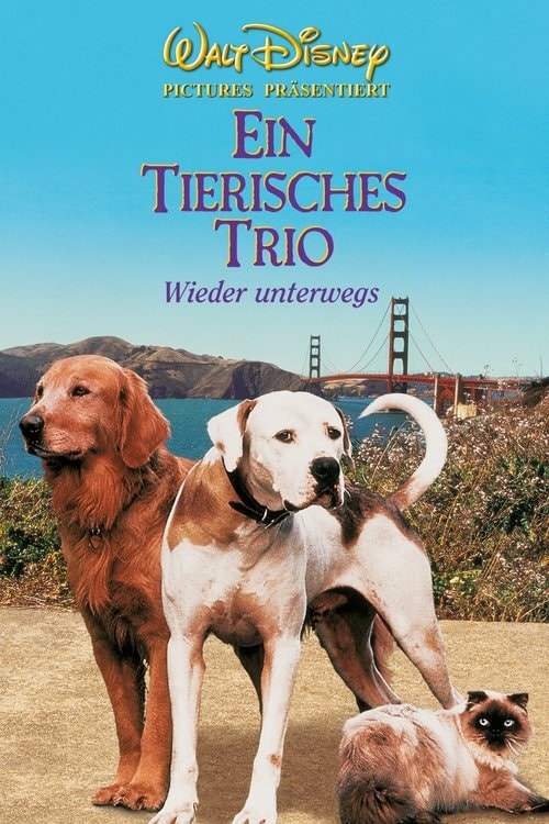 Ein tierisches Trio - Wieder unterwegs Filmplakat