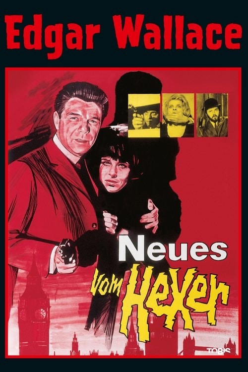 Neues vom Hexer Filmplakat