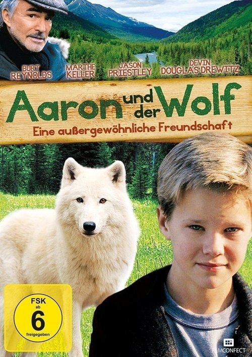 Aaron und der Wolf Filmplakat