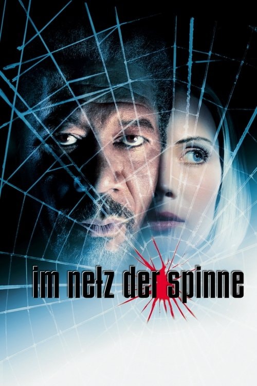 Im Netz der Spinne Filmplakat