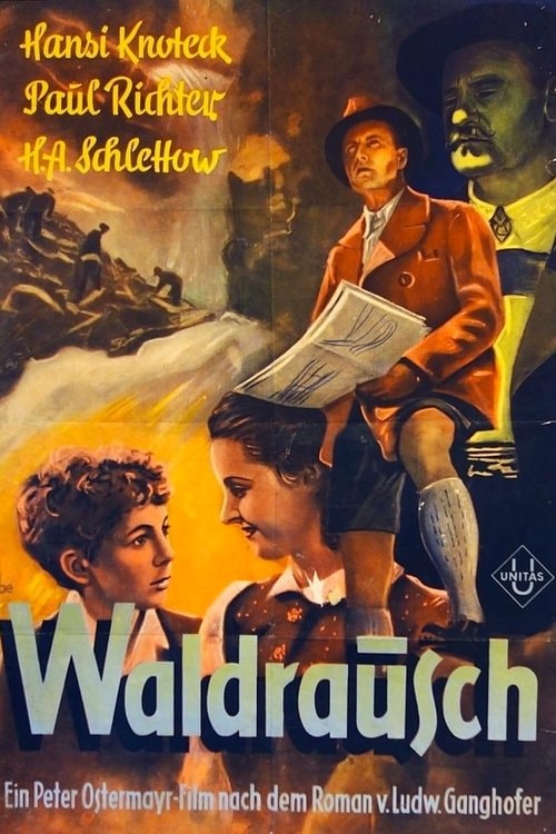 Waldrausch Filmplakat